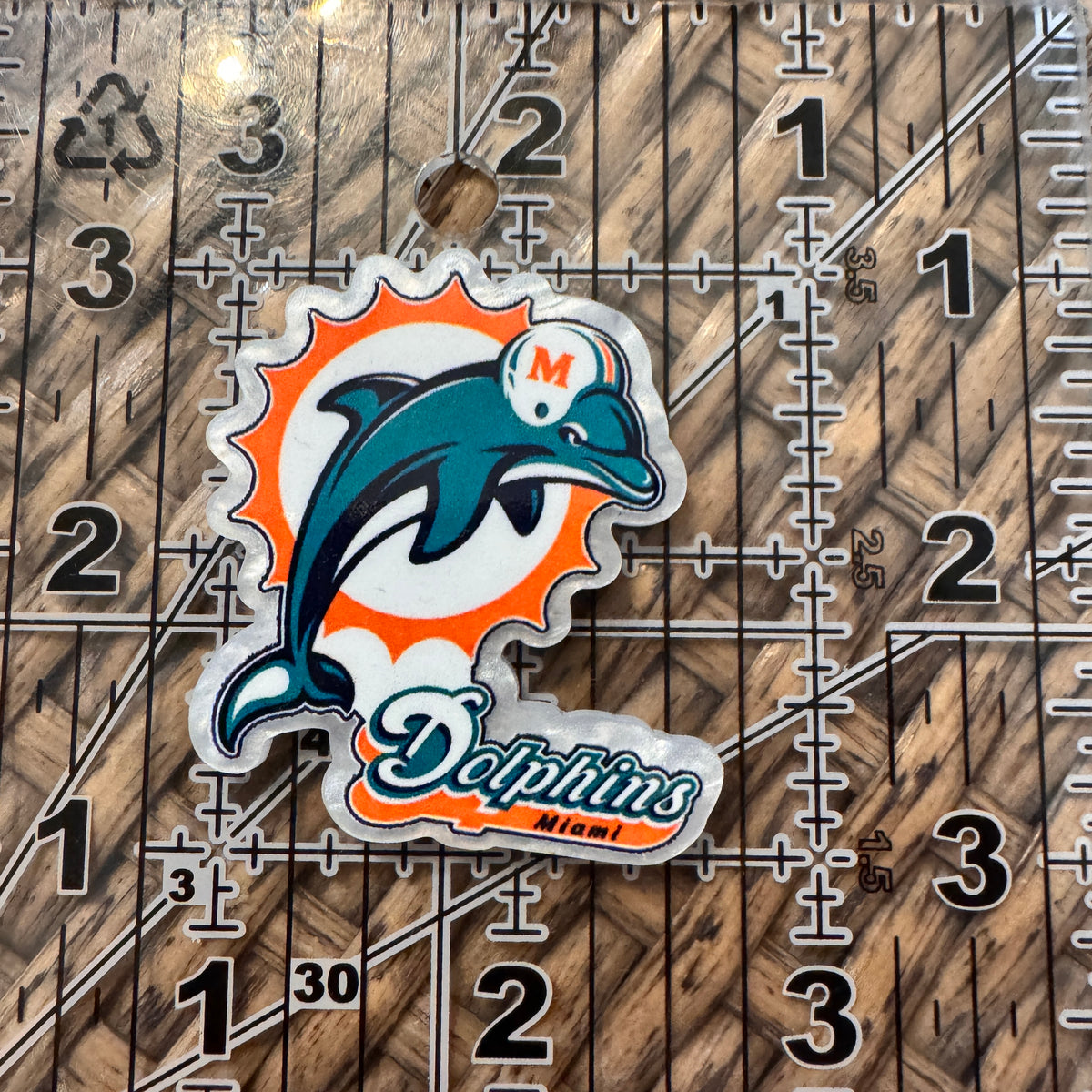 Acrylic Flatback Craft Embellishment - Football Dolphins