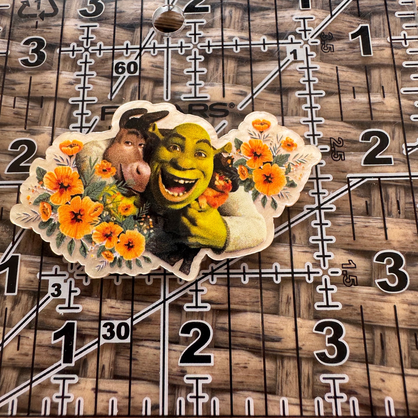 Acrylic Fatback, Planar, Cabochon, Craft Supply - Cartoon Shrek and Donkey