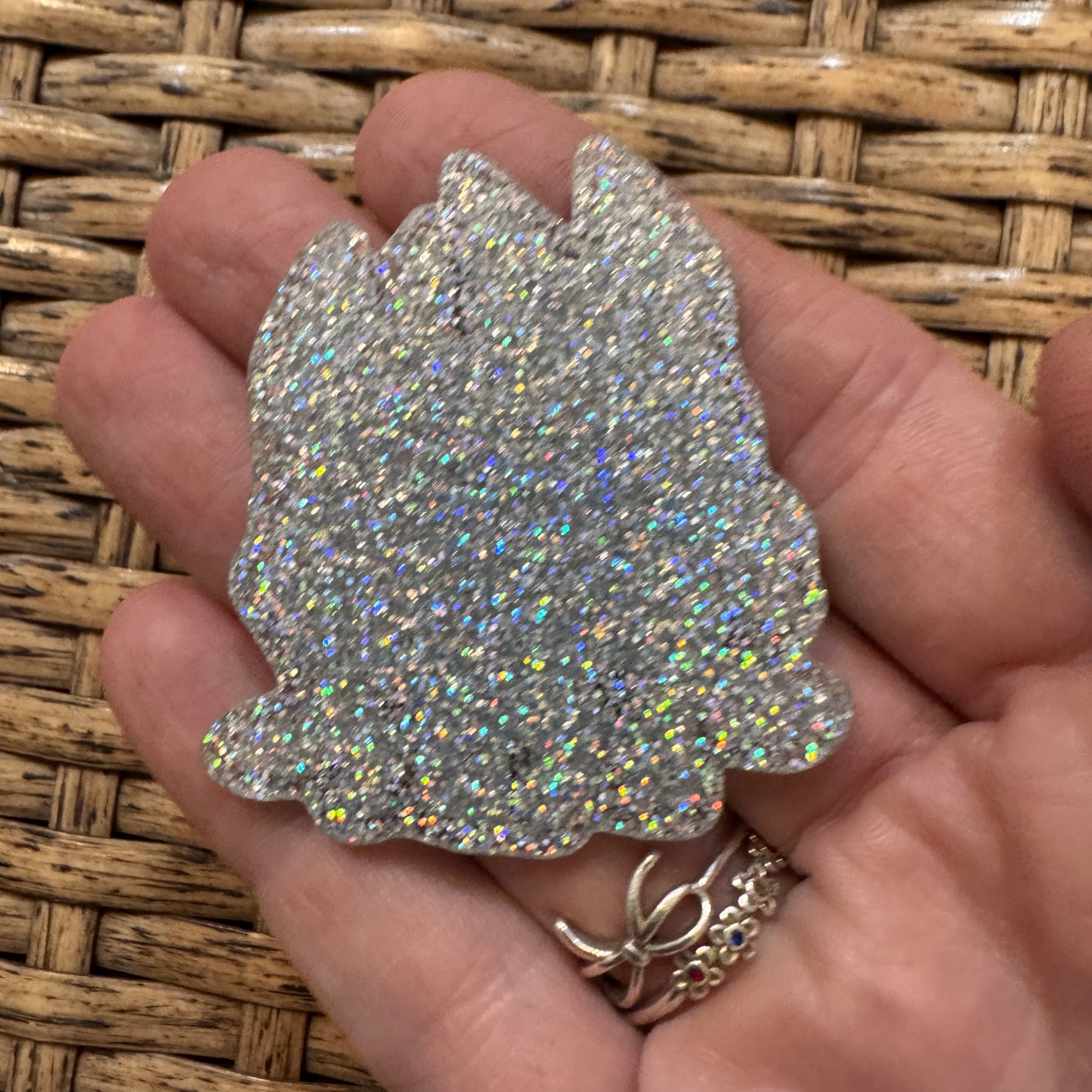 Acrylic Flatback Craft Embellishment Bluey and Family