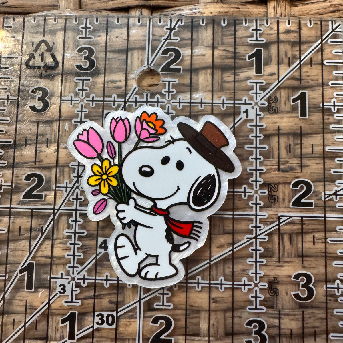 Acrylic Flatback Craft Embellishment SNOOPY