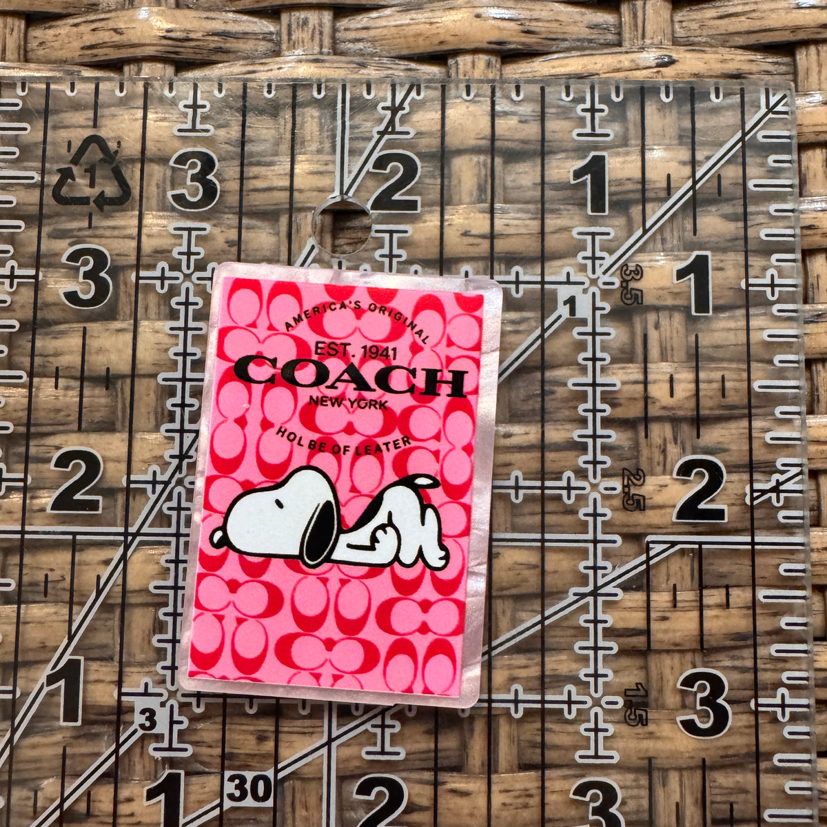 Acrylic Flatback Craft Embellishment Coach and Snoopy