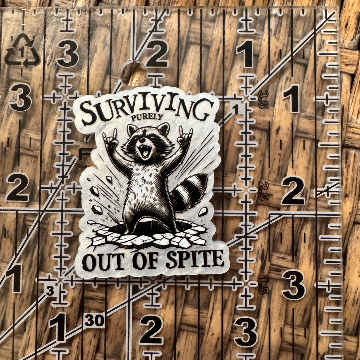Acrylic Flatback Craft Embellishment - Racoon surviving out of spite