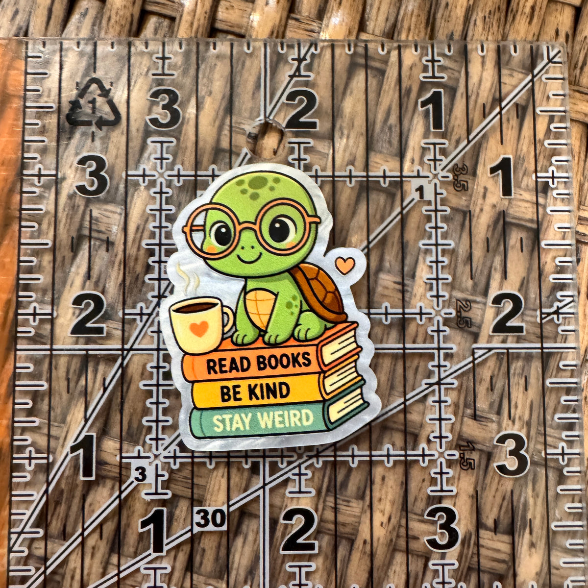 Acrylic Flatback Craft Embellishment - Reed Books Stay Weird